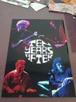 Ten Year after -  20x30cm - persönlich gesammelt