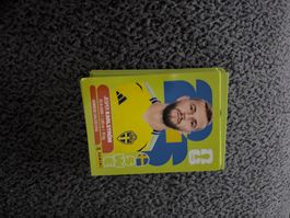 Panini Sticker SWE 10,  Schweden WM 2026
