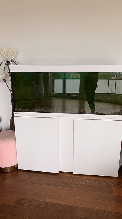Acquari: Aquarium 240 Liter – Usato da Belp venduto da eva_tc8s 1