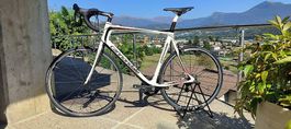 Cannondale Synapse XL Dura Ace 2x10