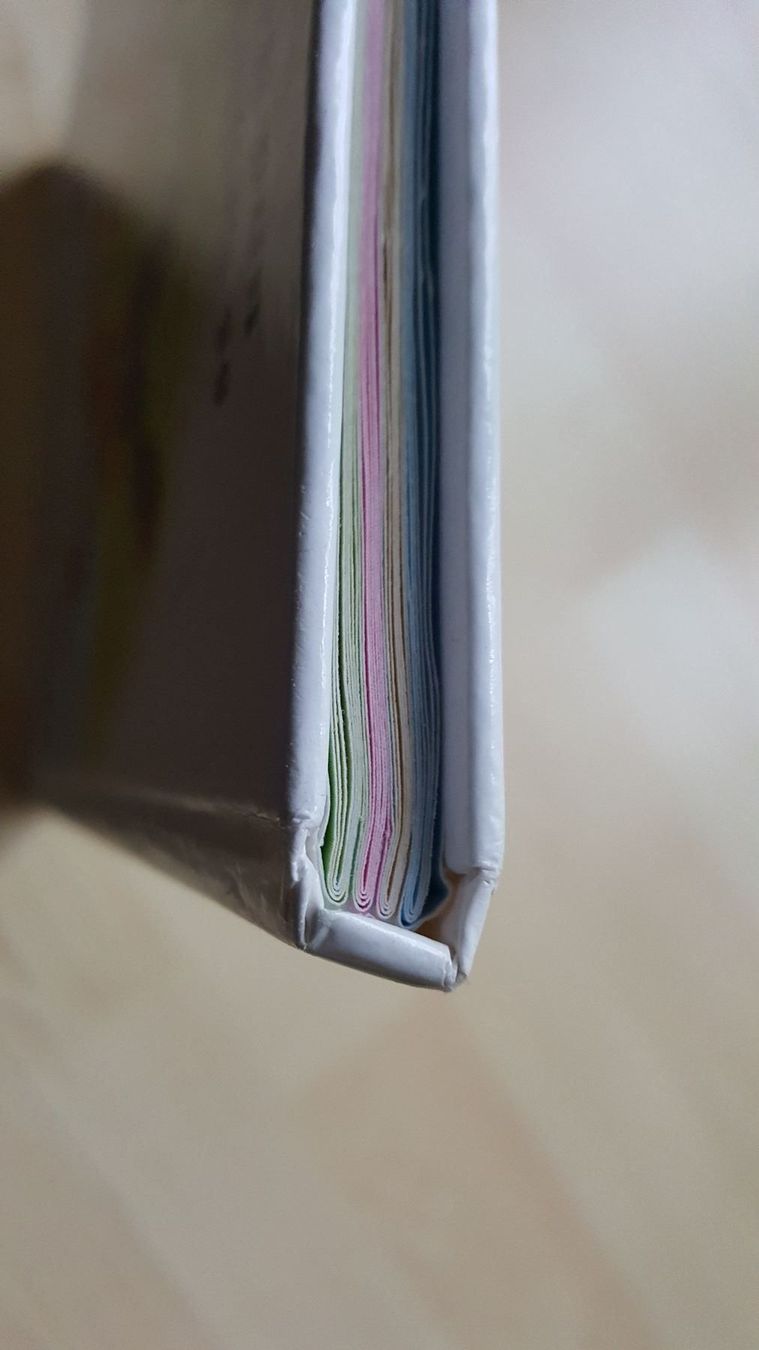 Libri: Chinde, mir tüend singe – Usato da Niederglatt ZH venduto da Bobsli 3