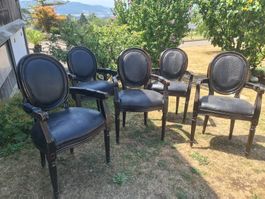 5 Esszimmerstühle schwarz Kroko Gastro Louis Kare Design