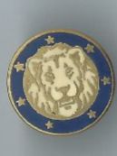 Löwenkopf Pin