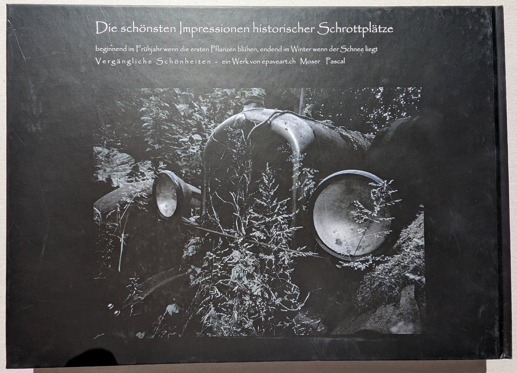 Libri: Bildband "Vergängliche Schönheiten / v. Moser, Pascal" – Nuovo (secondo la descrizione) da Olten venduto da VanishingPoint.71 1
