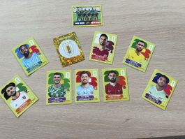 Stickers panini 