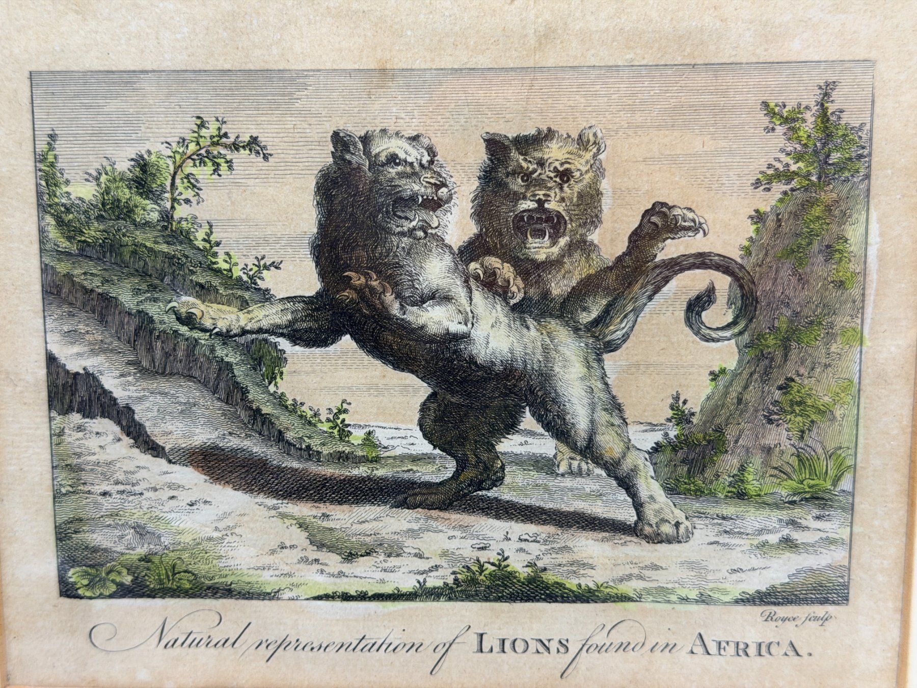 Incisioni: John Royce - Ancienne gravure, vers 1778 – Usato da Morges venduto da mod_q7tt 5