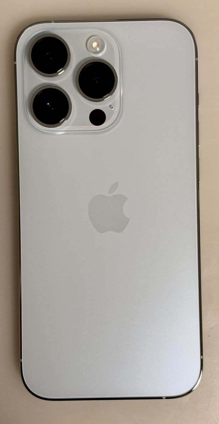 Apple Telefoni cellulari / Smartphones: iPhone 14 Pro Silver 256GB,  Originalverpackt mit 87% – Usato da Bronschhofen venduto da Maeck76 2