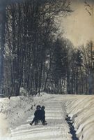 Fotokarte, Schlitten, Winter, Wädenswil, 1918