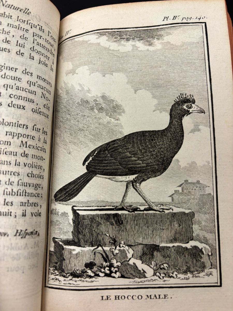 Libri: Histoire narurelle des oiseaux, Buffon, Band 4 – Usato da liebefeld venduto da RolandBern 4