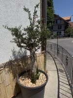 Restaurant Auflösung alles muss raus