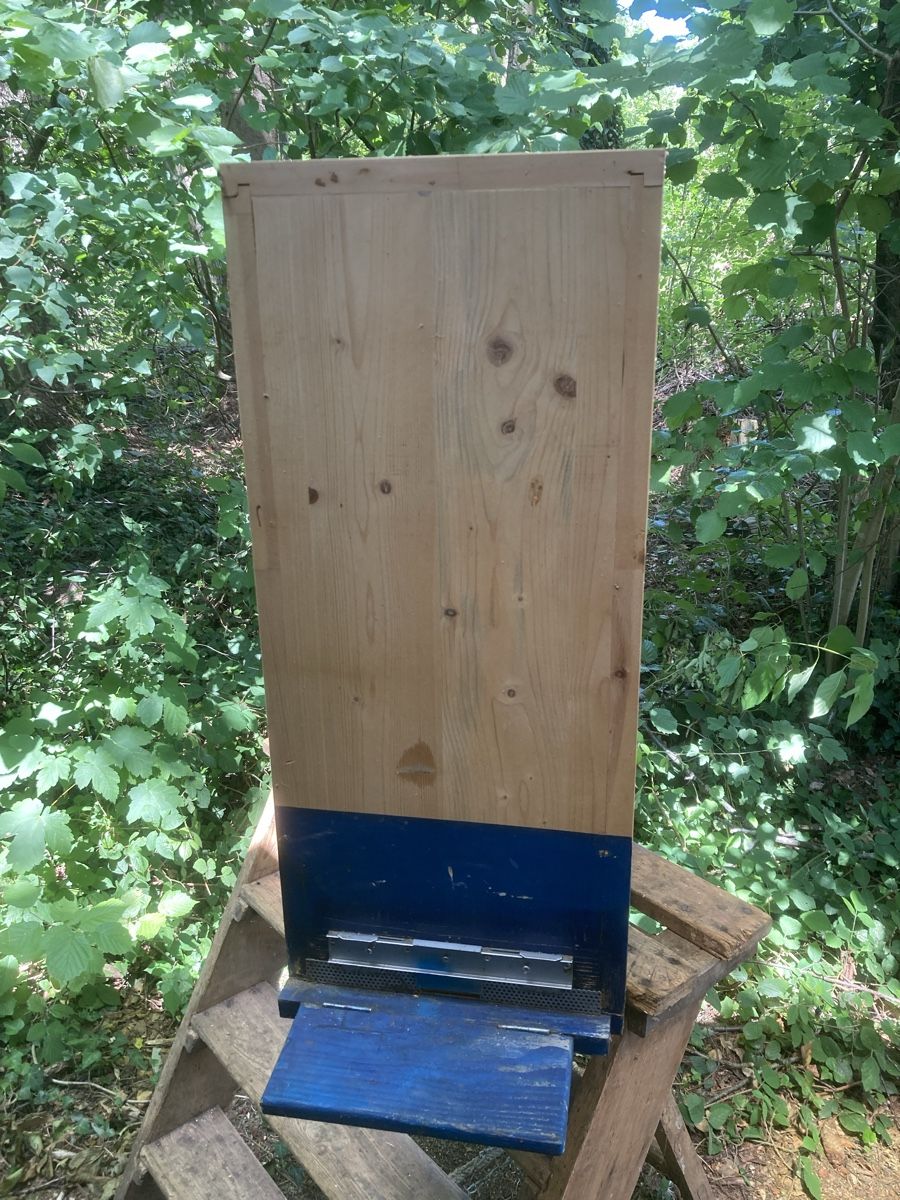 Alveari: Bienenkästen 4 stck  – Usato da Lindau venduto da fam_pp2t 2