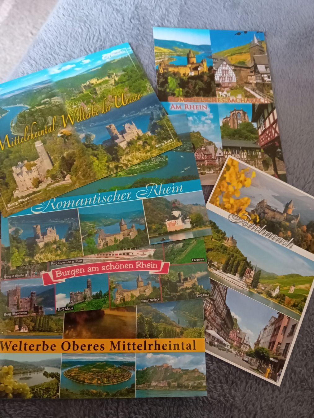 Cartoline postali: ungebrauchte Ansichtskarten vom schönen Rhein – Nuovo (secondo la descrizione) da Witterswil venduto da hele04