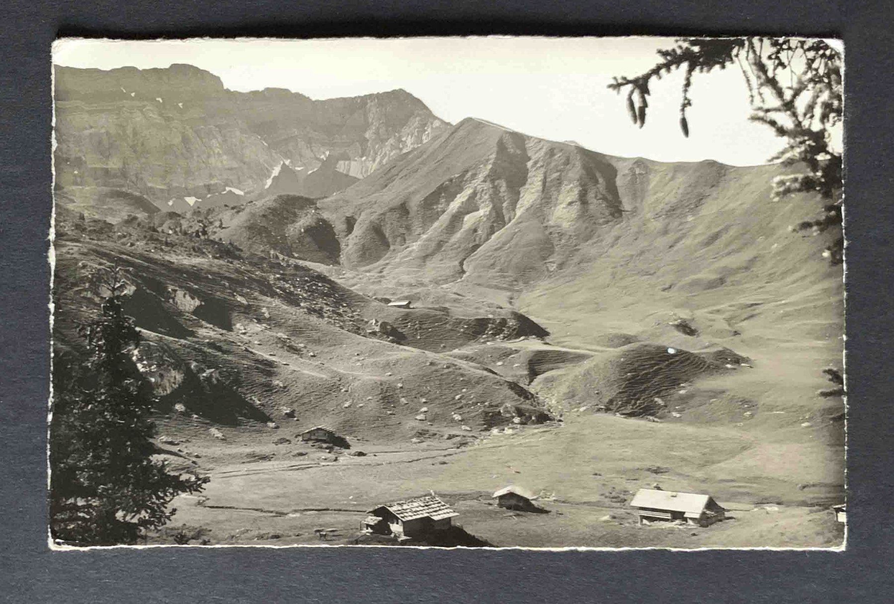 Cartoline postali: AK Frutigen Alp Elsigen – Usato da Goldau venduto da artelier1
