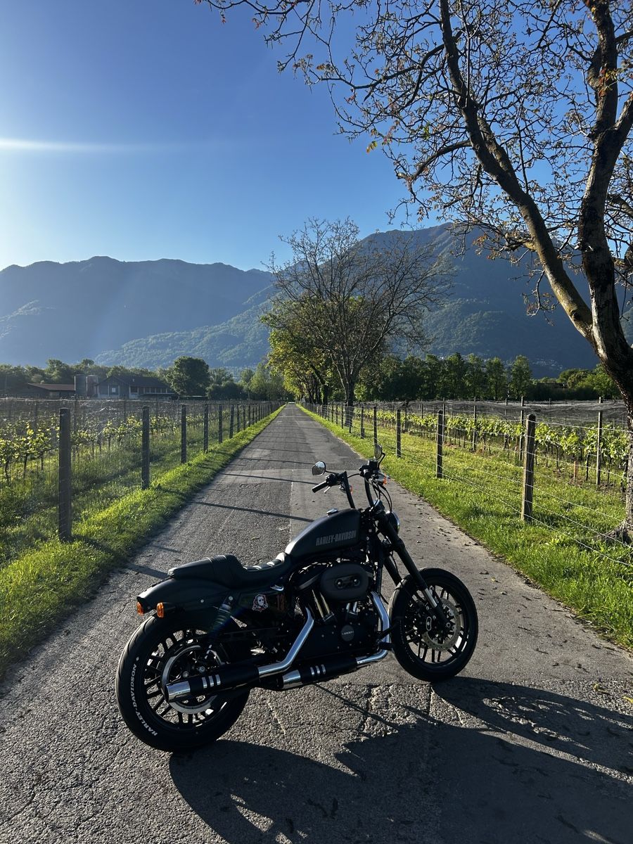 Harley-Davidson Chopper: Harley XL 1200 cx – Usato da S. Antonino venduto da Arthur686