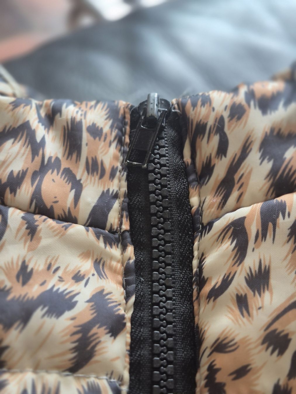 Abbigliamento: Veste pour chien  – Usato da bremblens venduto da kittenob 3