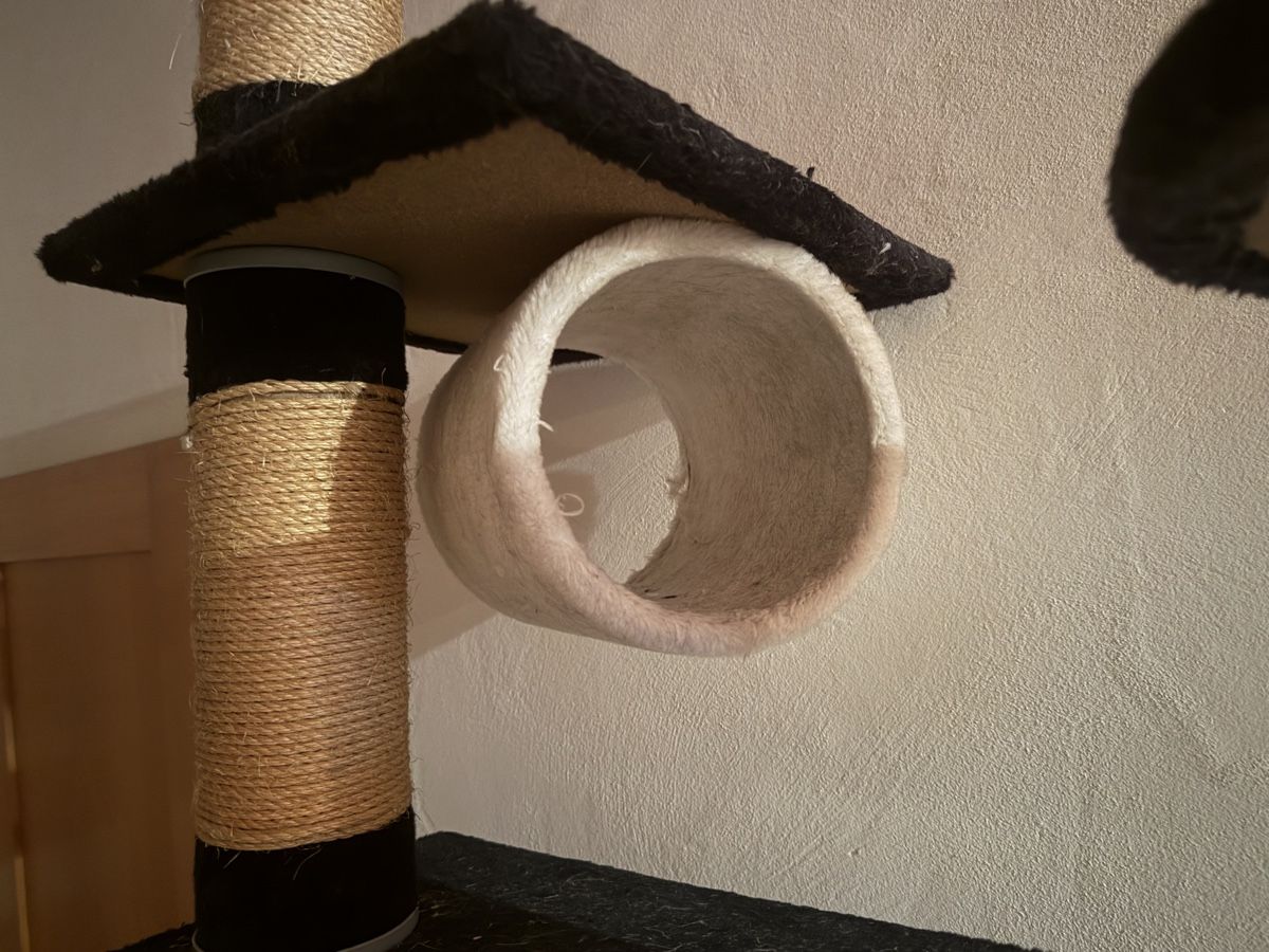 Katzenbaum - Kratzbaum: Riesiger Katzenbaum 2,5 x 2 Meter – Gebraucht aus Stäfa von Mpower0 2