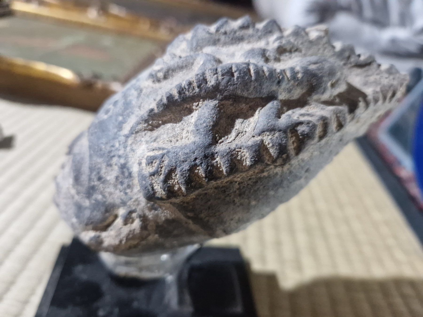 Skulpturen & Statuen: Alien Kopf aus Privatsammlung – Gebraucht aus St. Gallen von JodokGross 2