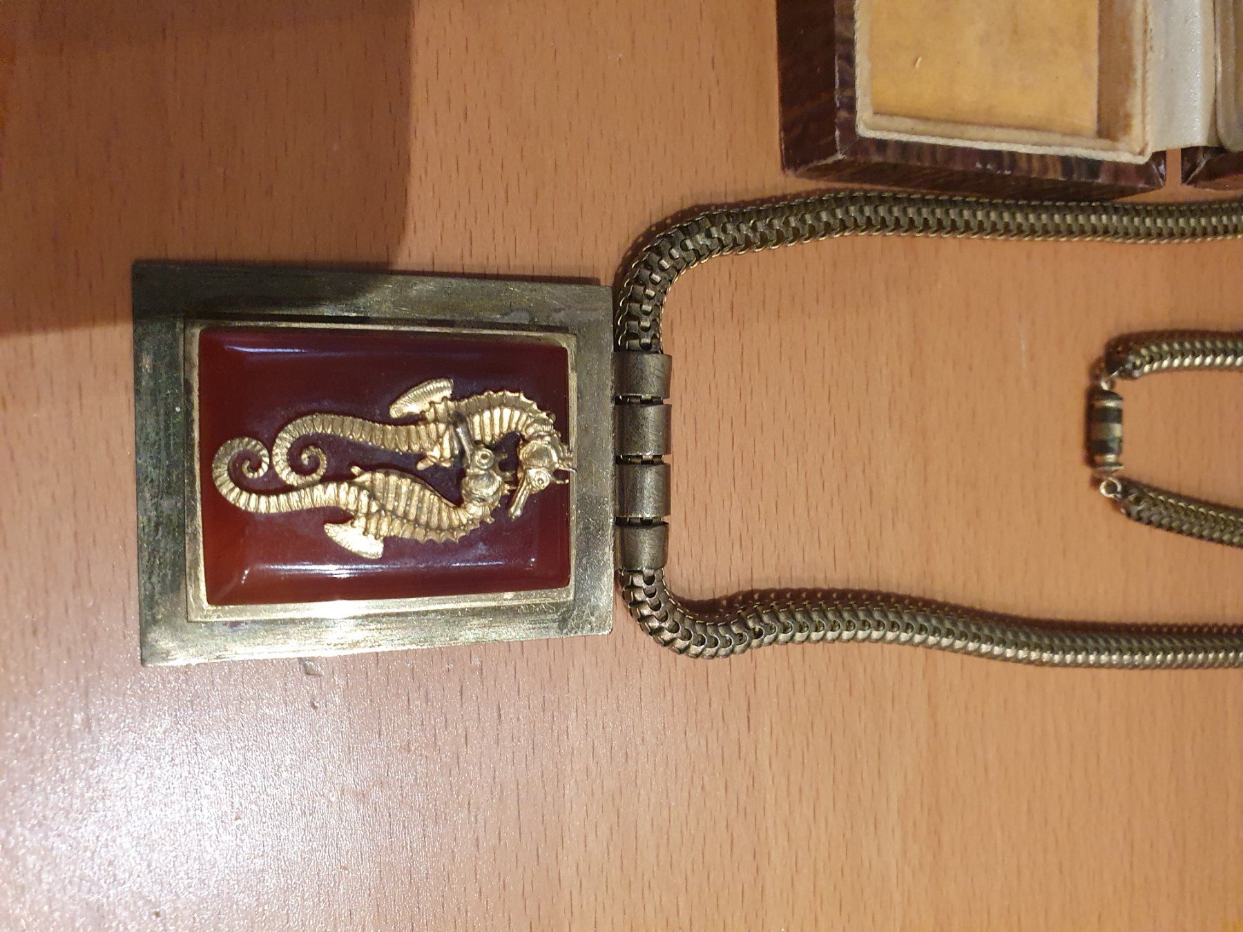 Catenine: Antike Schmuckschatulle mit Kette und Brosche im Set – Usato da Basel venduto da M2 5