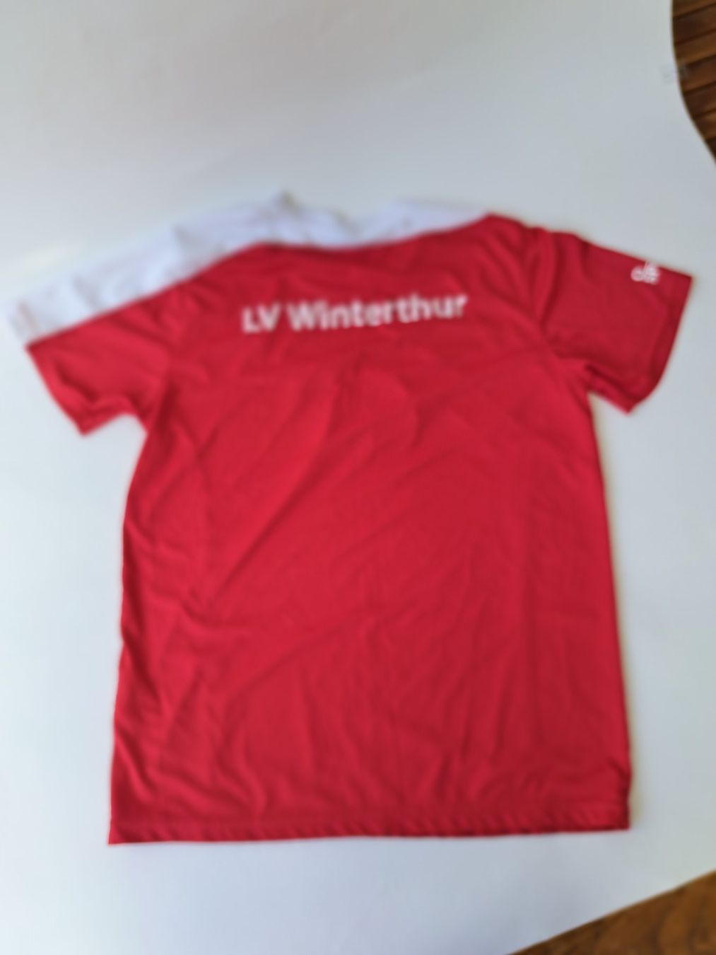 Erima Camicie, T-shirt & Polo: Original LV Winterthur Tshirt 164 – Usato da Dachsen venduto da nomis68 1