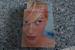 Liebe ohne Märchenprinz Liebesroman Pamela Ribon