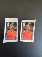 Virgil van Dijk Panini Coca Cola Extra Sticker FIFA WM 2026