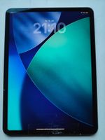 iPad Pro 11" 2021 Wi-Fi 89% Akku 128GB