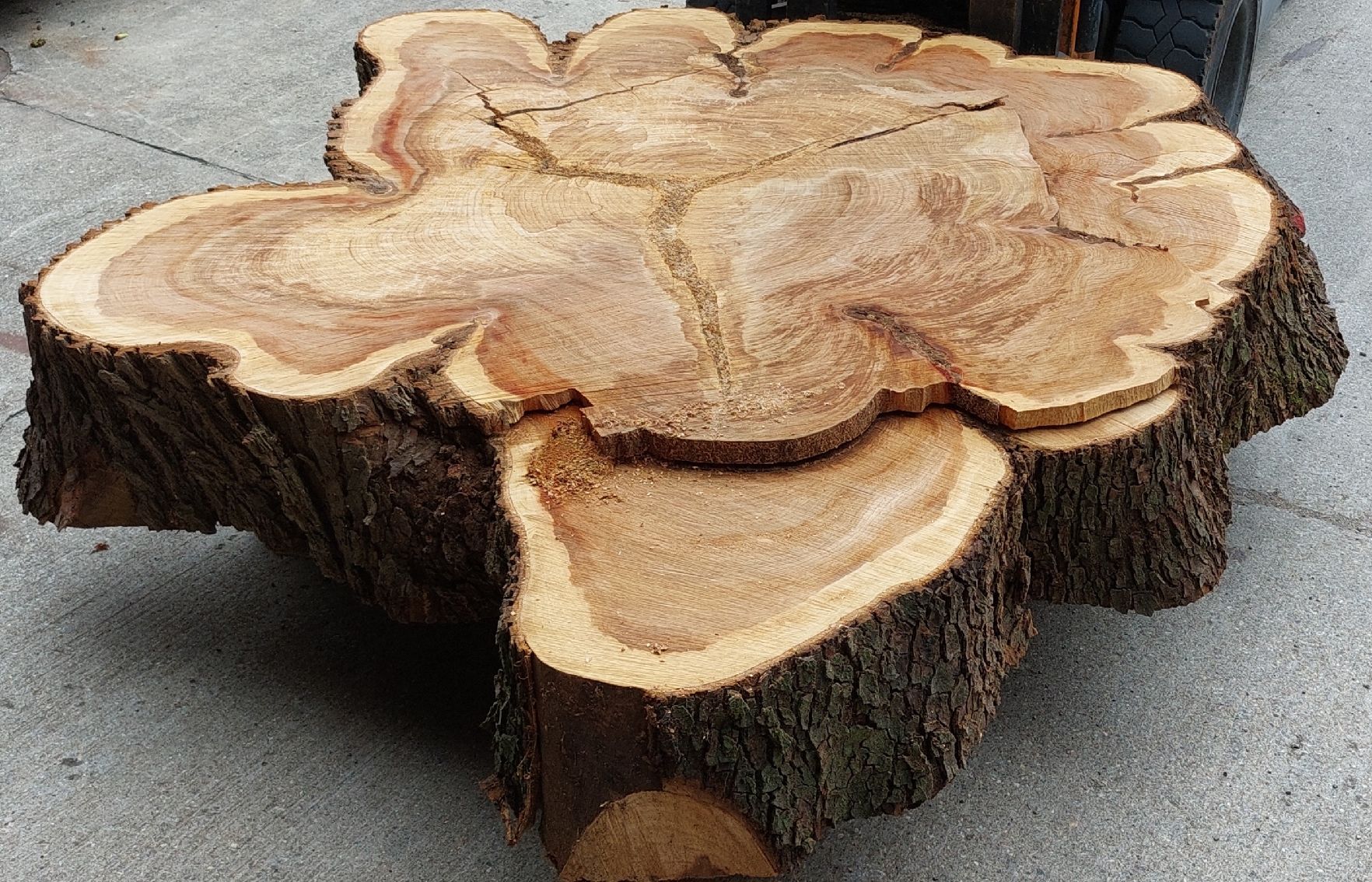 Articoli in legno: Ulmenholz /Stockscheiben – Nuovo (secondo la descrizione) da Solothurn venduto da MogTim 2