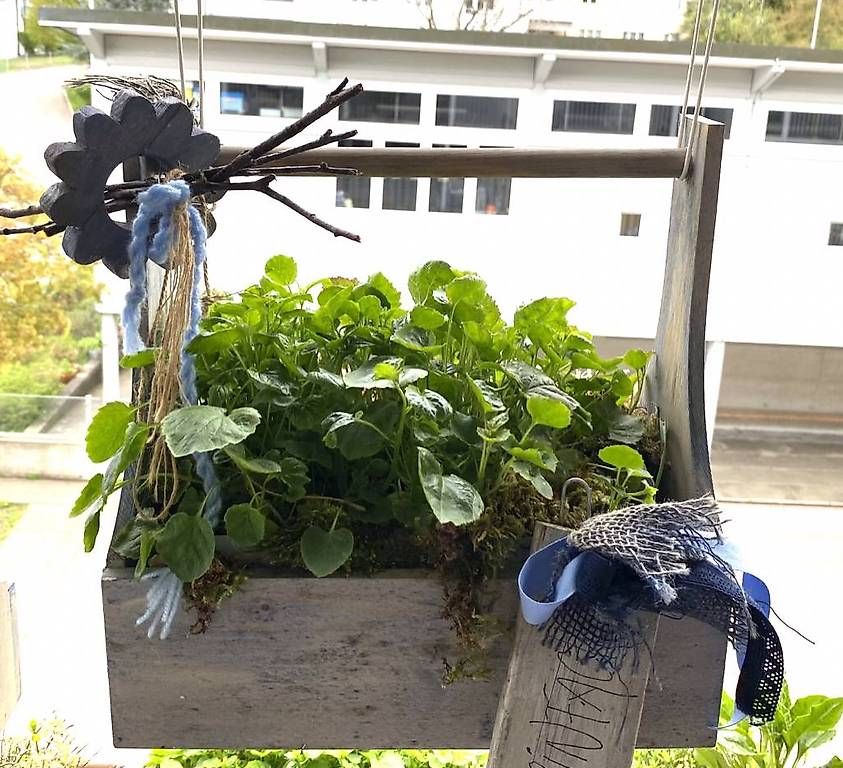 Tutti gli attrezzi: Glockenblume in der Werkzeugkiste – Usato da Frauenfeld venduto da Irene.Schuppli 4