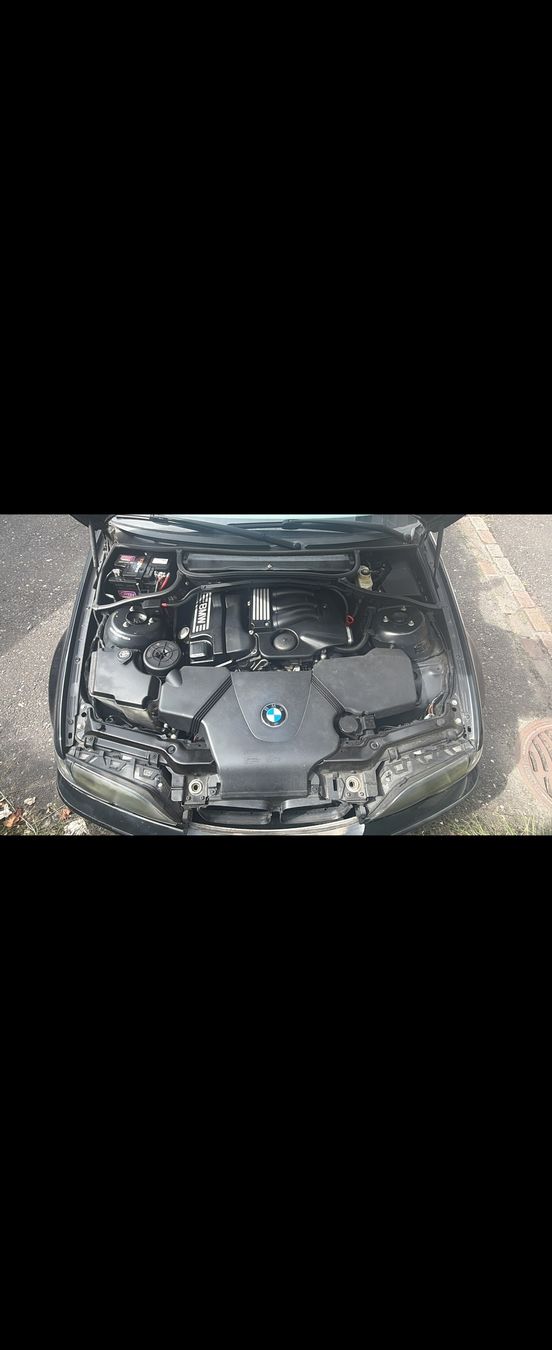 BMW Autos: BMW 316 – Gebraucht aus Buchs SG von opt_b2fj 4