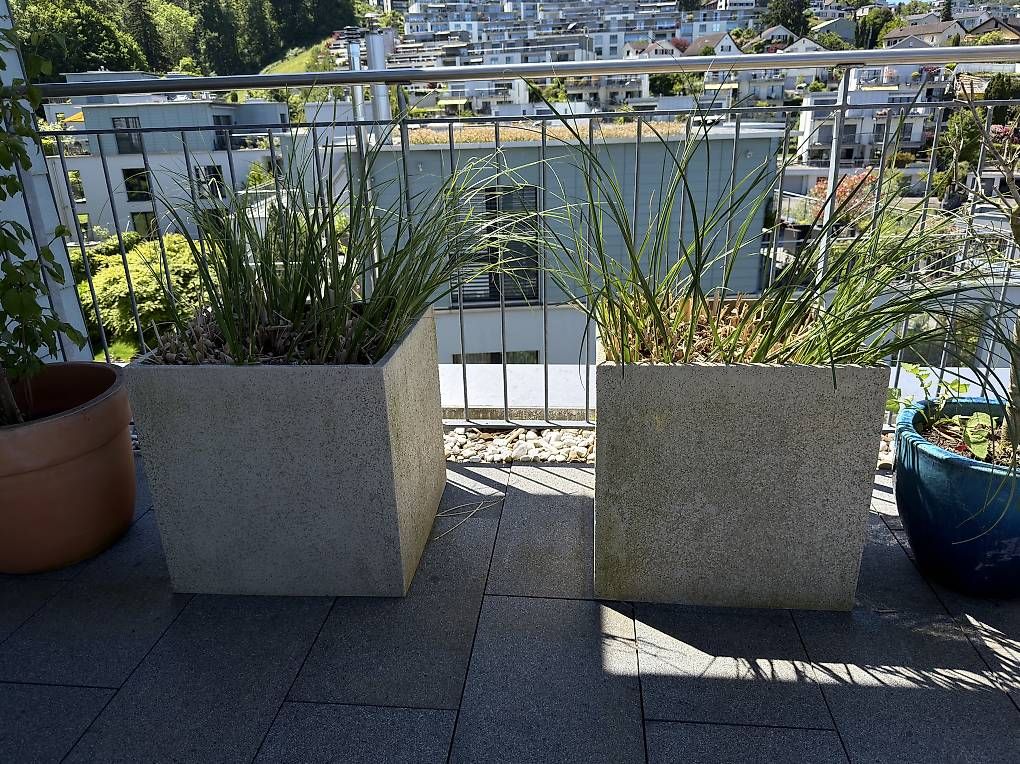 Box contenitori: 2 hochwertigen Gartenkübel mit Gräser – Usato da Richterswil venduto da ski_7ffp