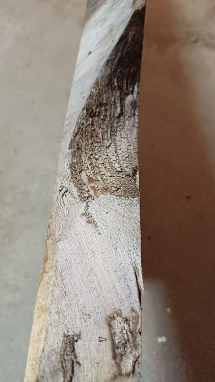 Articoli in legno: Nussbaumbrett – Nuovo (secondo la descrizione) da Embrach venduto da Olympia52 5