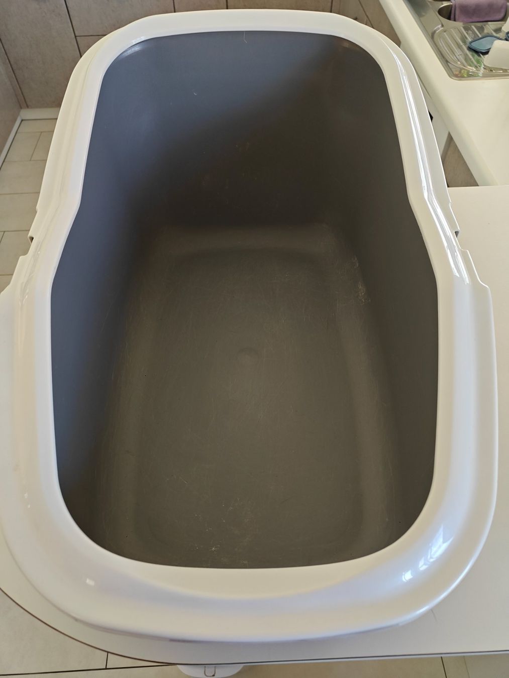 Cucce & Letti: Katzentoilette Aseo Savic mit hohem Rand – Usato da Wädenswil venduto da alex-maxima 2