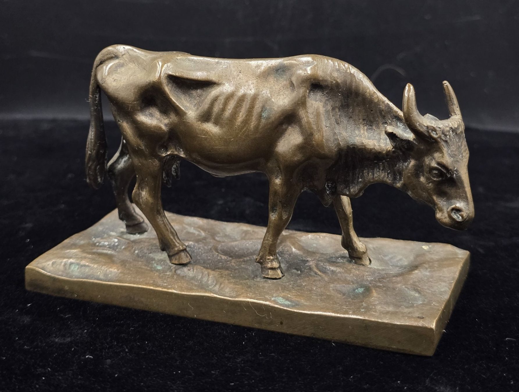 Sculture & Statue: Bronze Skulptur Stier – Usato da Rorschacherberg venduto da snOOpydOg11 1