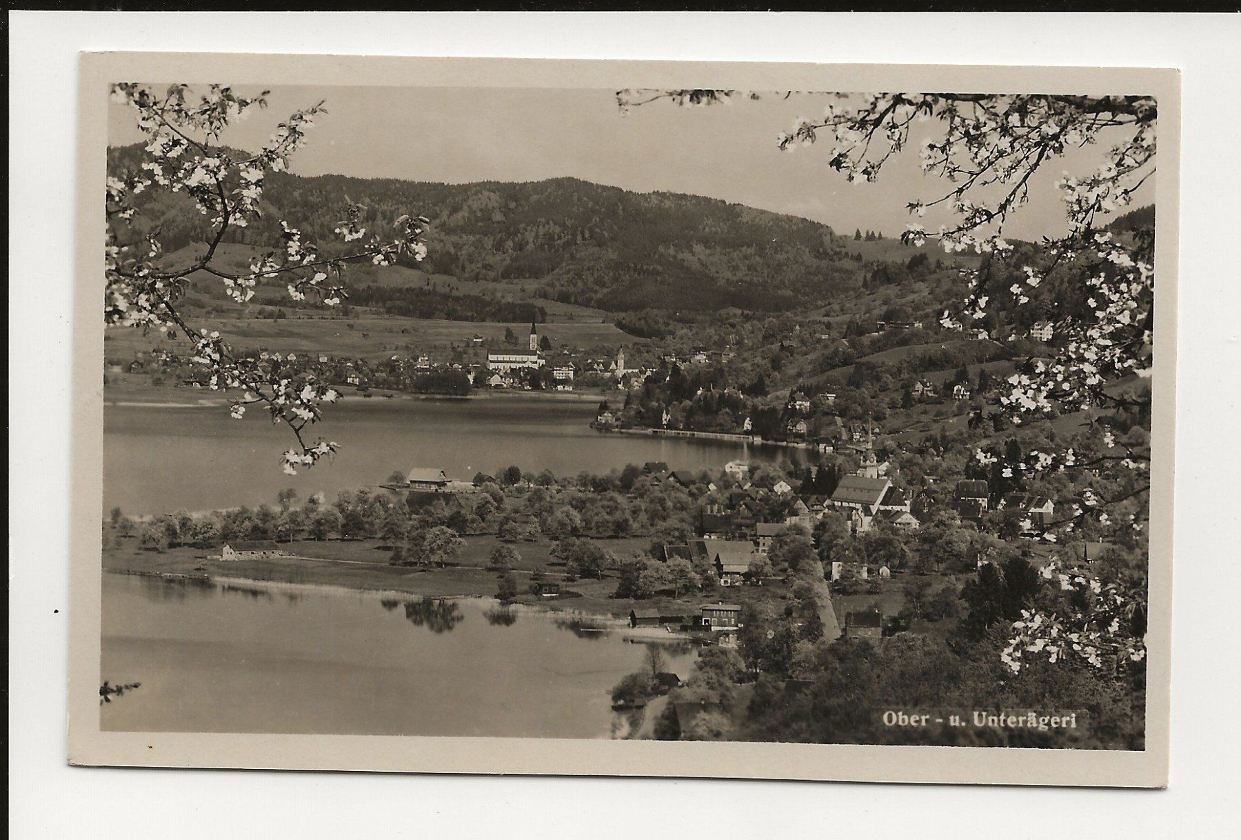 Ansichtskarten: AK 1954 Ober- und Unterägeri – Gebraucht aus Greifensee von 315WDO