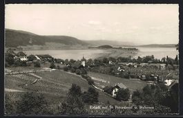 Erlach, Blick zur St. Petersinsel und de