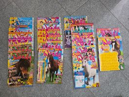 Wendy Comic Hefte/ Pferde Zeitschriften von 2009 mit Poster