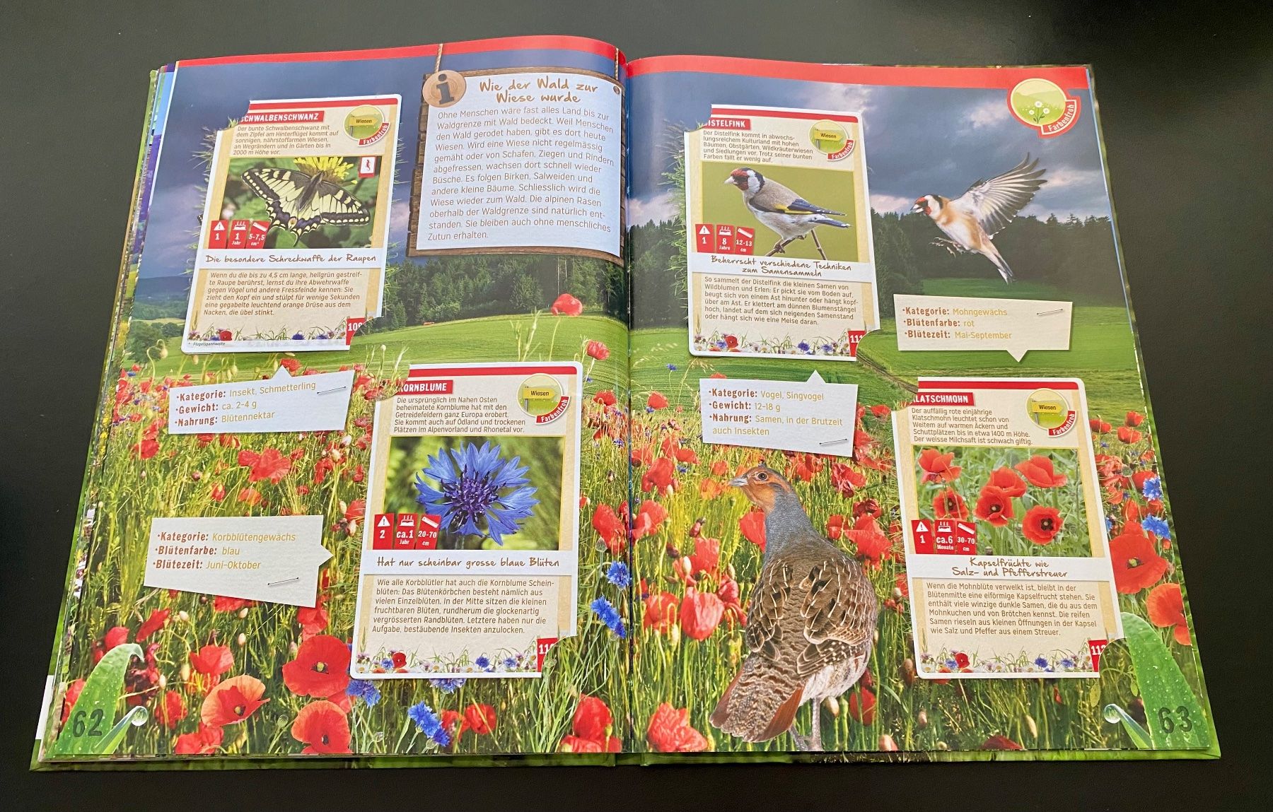 Libri: Abenteuer Natur / Coop / WWF – Usato da Nussbaumen AG venduto da schuba2000 7