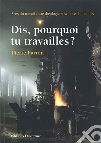 Libri: Dis, pourquoi tu travailles ? – Usato da Neuchâtel venduto da Dualseele