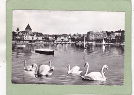 Ouchy Lausanne Schwäne 1953