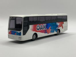 Rietze 63522 1:87 MAN Lion's Star OAK Aare Seeland