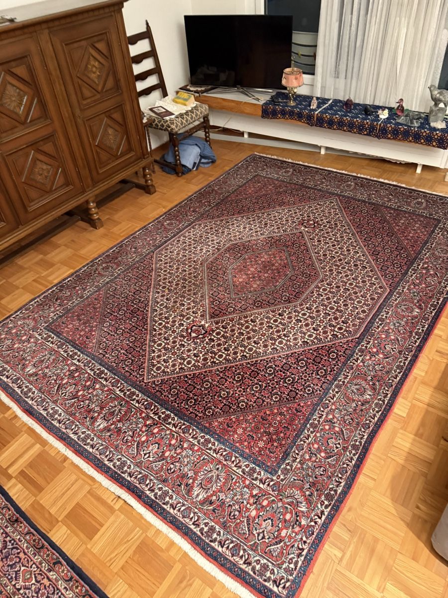Handmade Persian Rug - Beautiful detailed Design- Autumn (Gebraucht) in ...