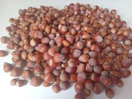 Haselnüsse Deko, Basteln ca.800g