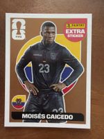 Extra Sticker Bronce Panini World Cup WM 2026 Caidedo