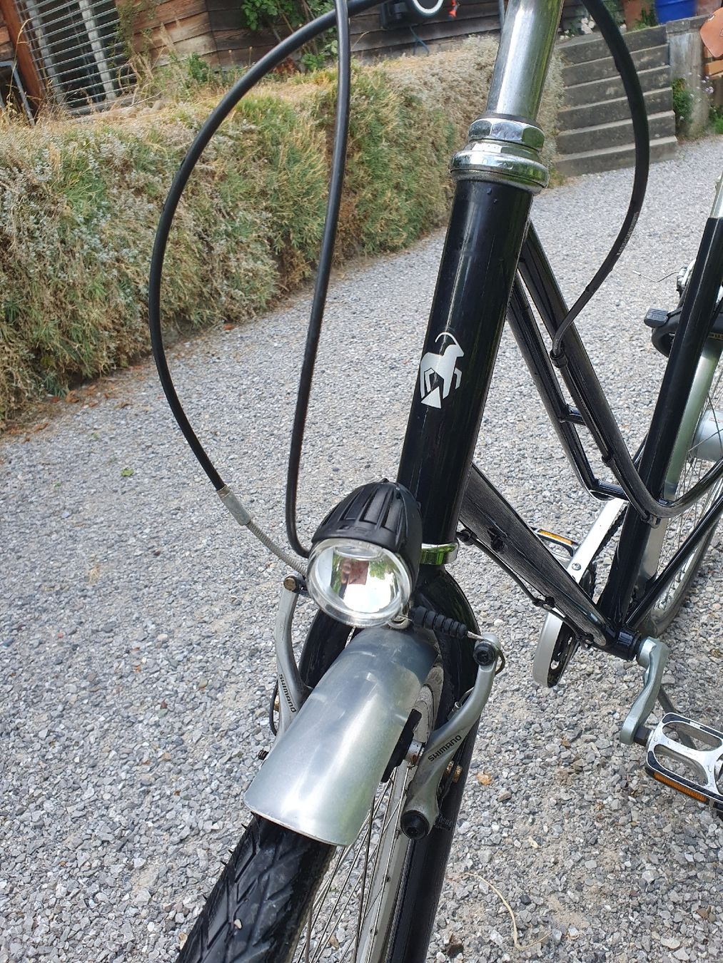 Cresta Biciclette: Damenvelo Cresta – Usato da Bern venduto da man_9ylh 3