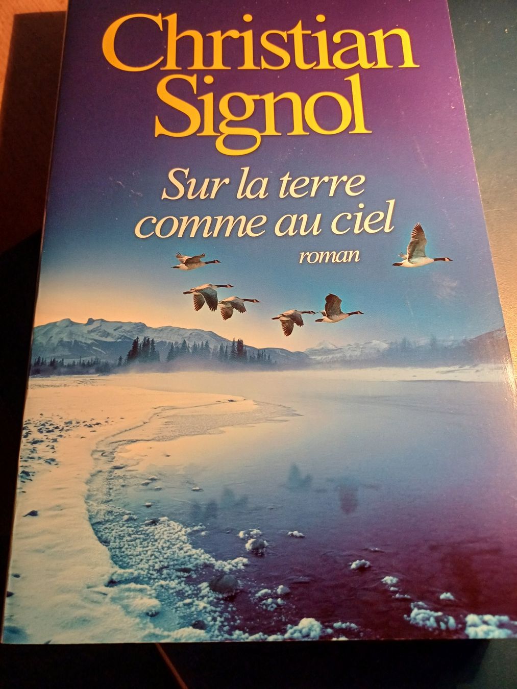 Libri: Sur la terre comme au ciel – Usato da Porrentruy venduto da Piquetix