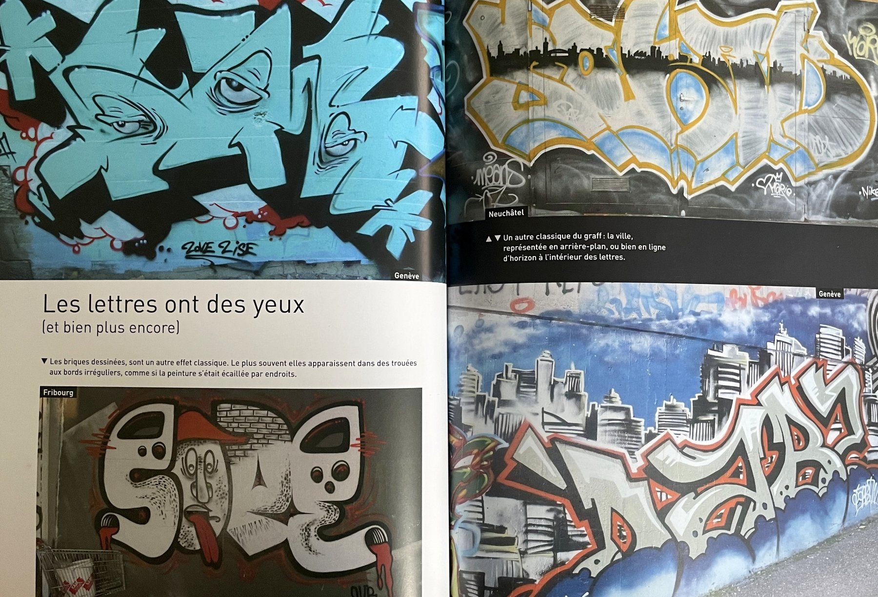 Livres: Les plus beaux graffitis de Suisse – D'occasion à Savagnier par Ne2065 5