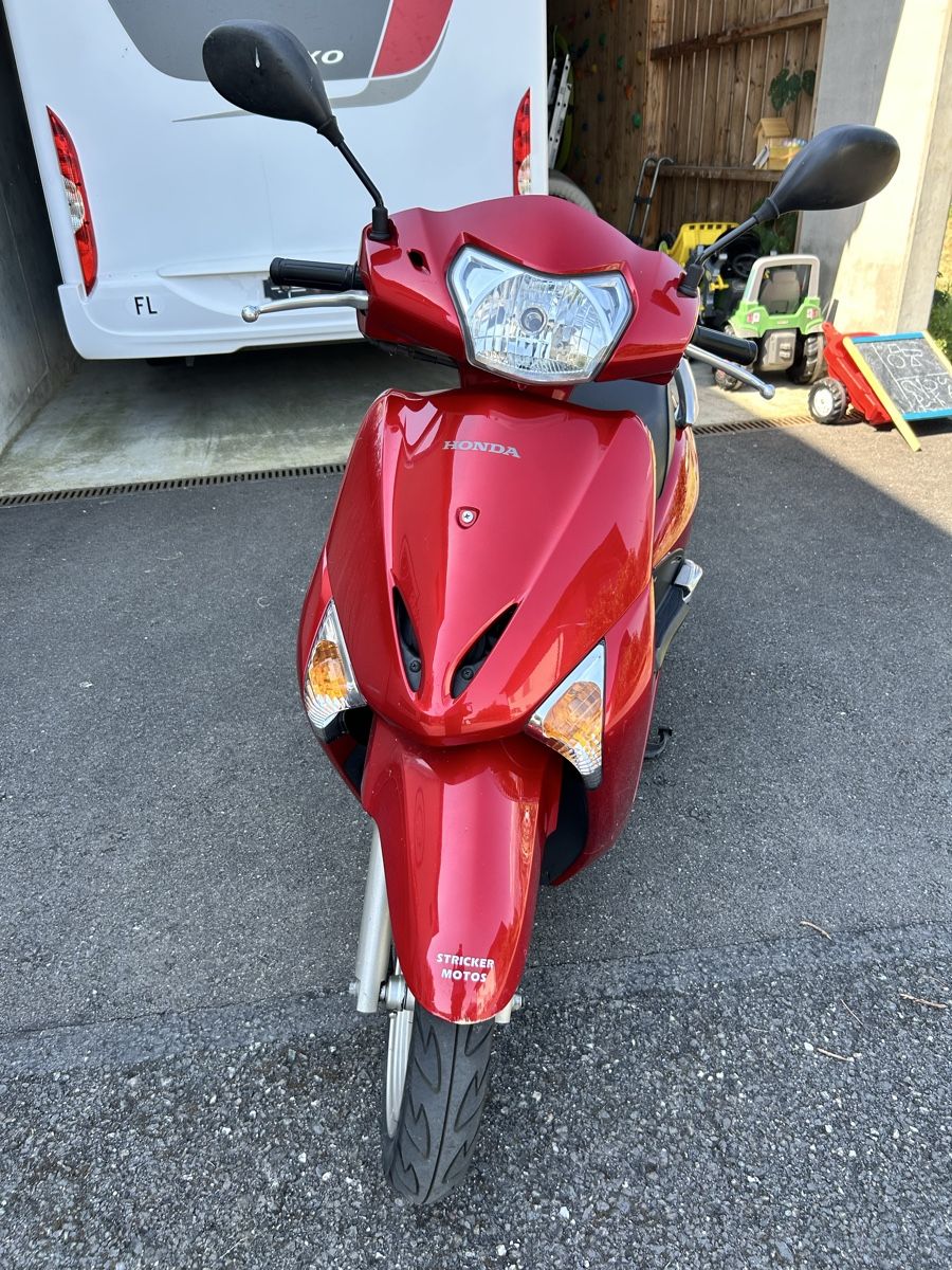 Honda Strada: Motorroller Honda NHX110 Lead – Usato da Nendeln venduto da pri_k7hg 1