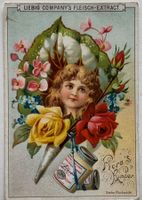Litho, Liebig, Werbung, Flora, Blumen,  Jugendstil