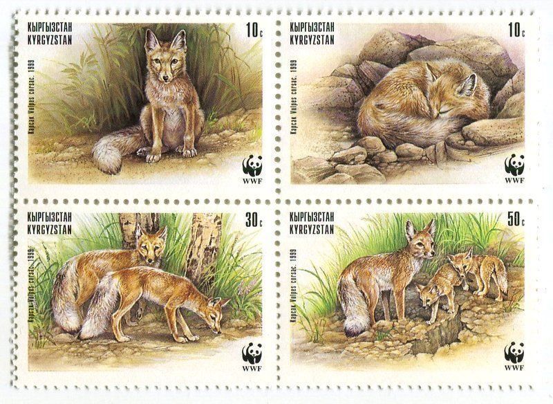 Alle Briefmarken: Briefmarken "Steppenfuchs". Kirgisistan – Neu und originalverpackt aus Basel von Butsch5