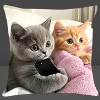 🐱📱 Kissenbezug – Kätzchen spielen mit Handy ✨